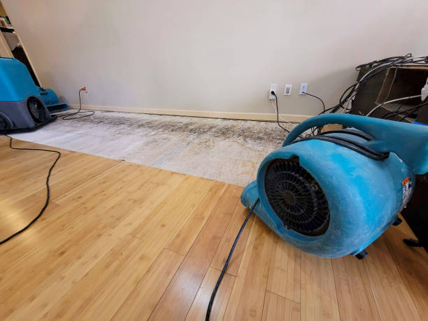 Professional Structural Drying technician working in Cypress Inn, TN